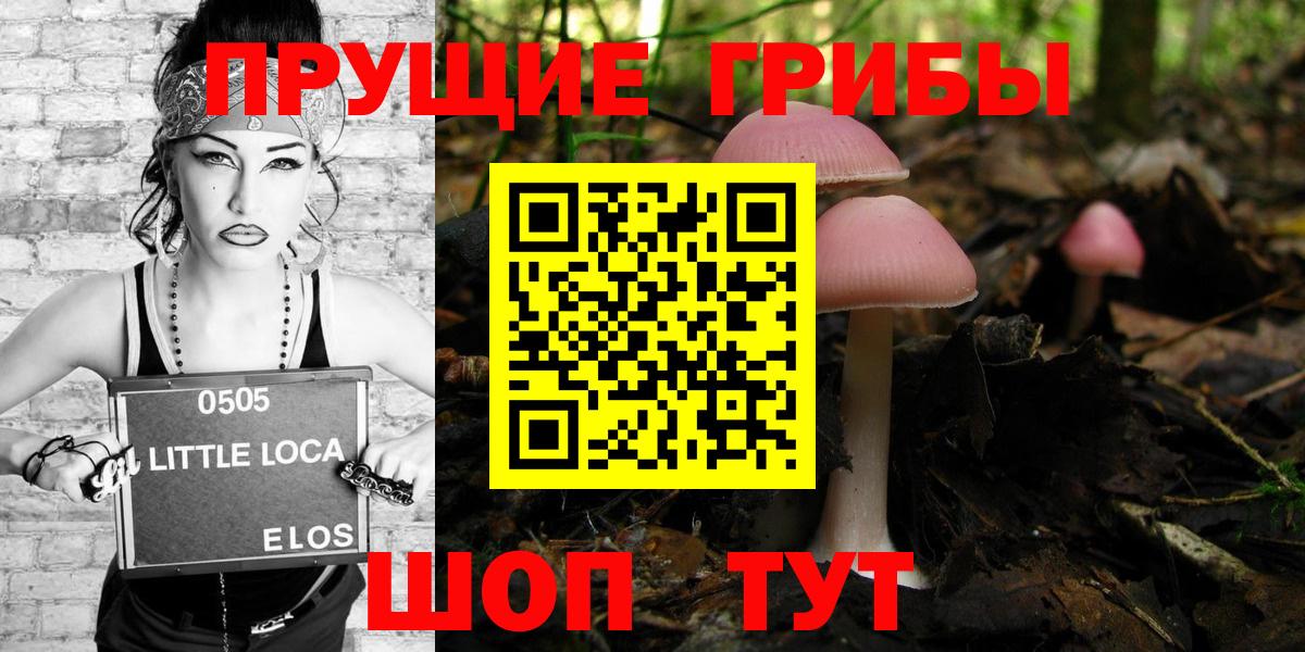 Псилоцибиновые грибы GOLDEN TEACHER Гурьевск