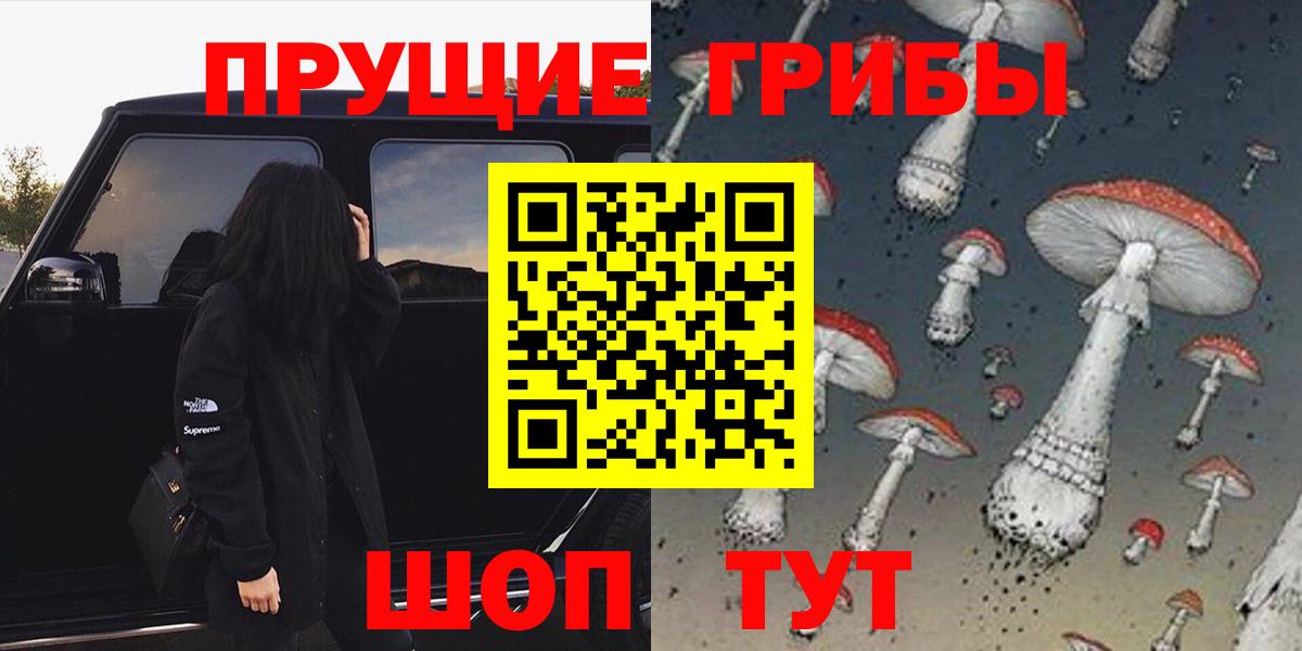 Гурьевск  Псилоцибиновые грибы прущие грибы  Вход с VPN 